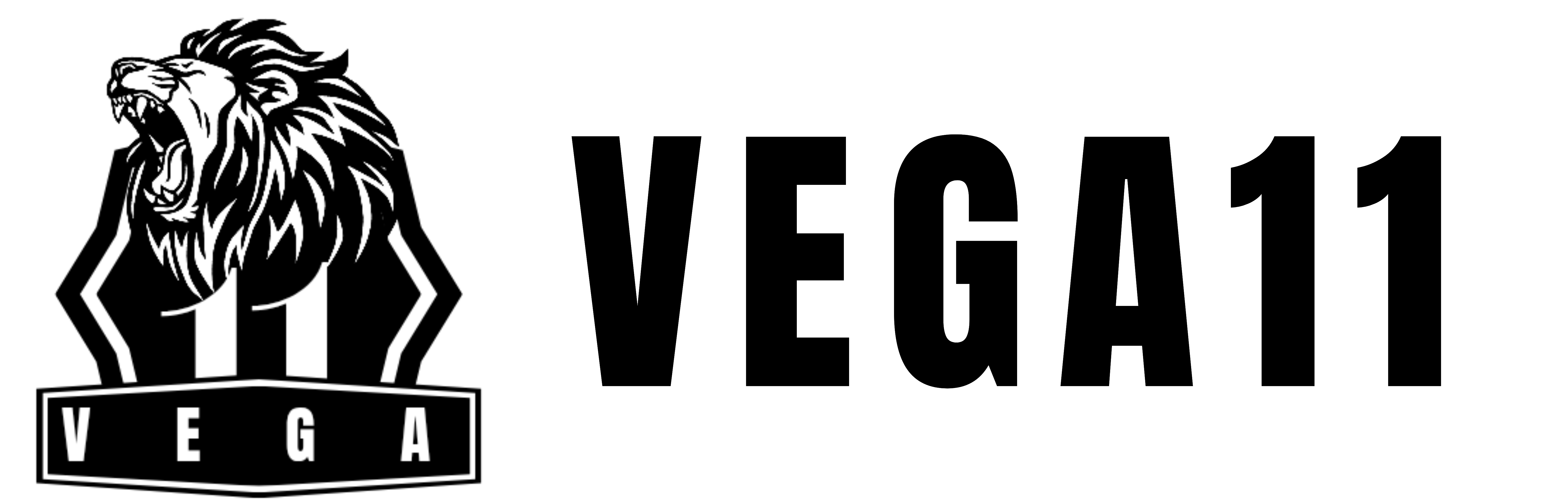 Vega11